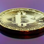 Understanding the Dynamics of the Altcoin Market Crash